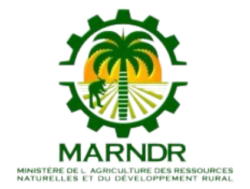 logo2